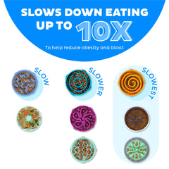 Outward Hound Fun Feeder puzzle labyrinthe amovible, stimule l’attention pendant les repas.