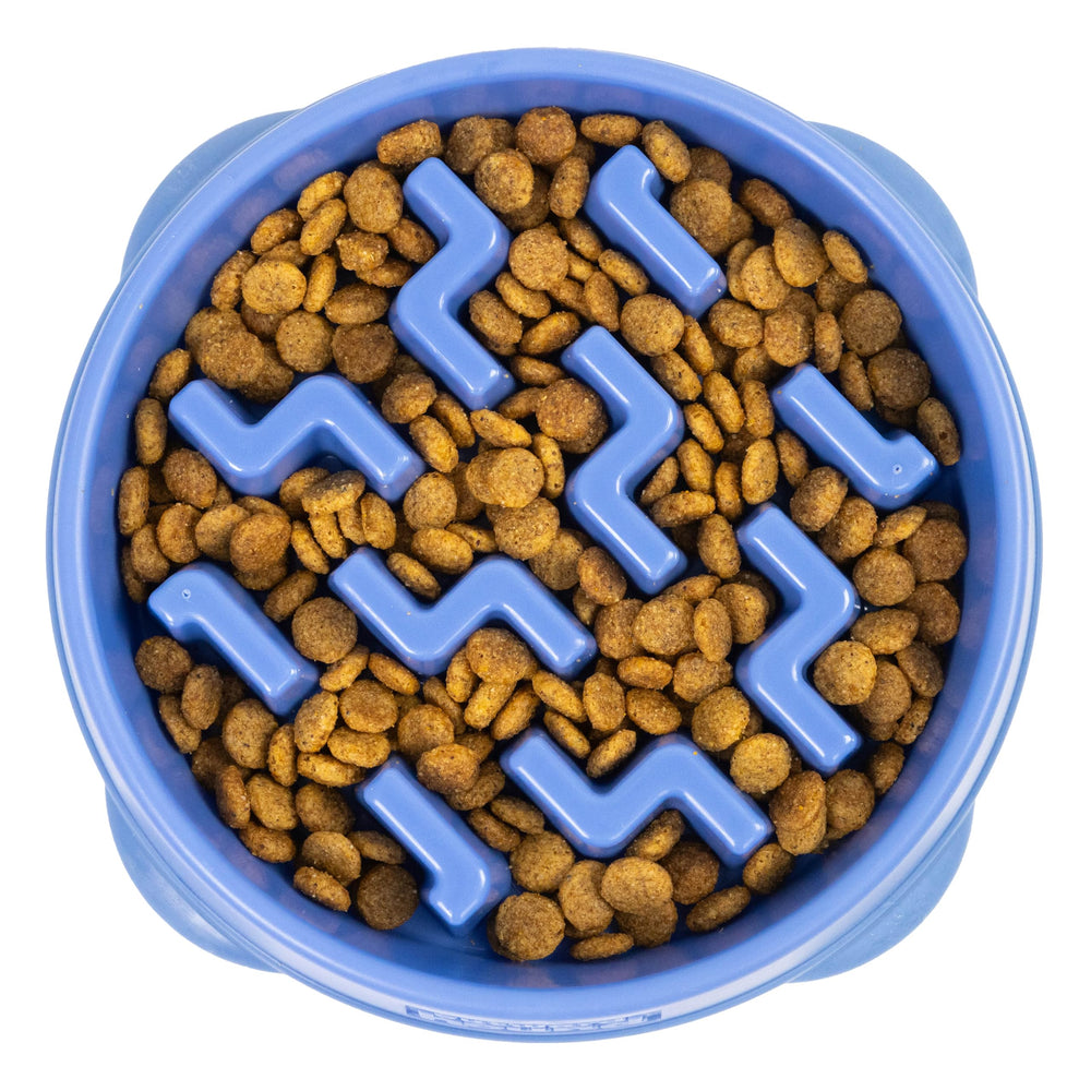 Bol lent moyen Outward Hound, 2 tasses, ralentit l’alimentation des chiens et chats.