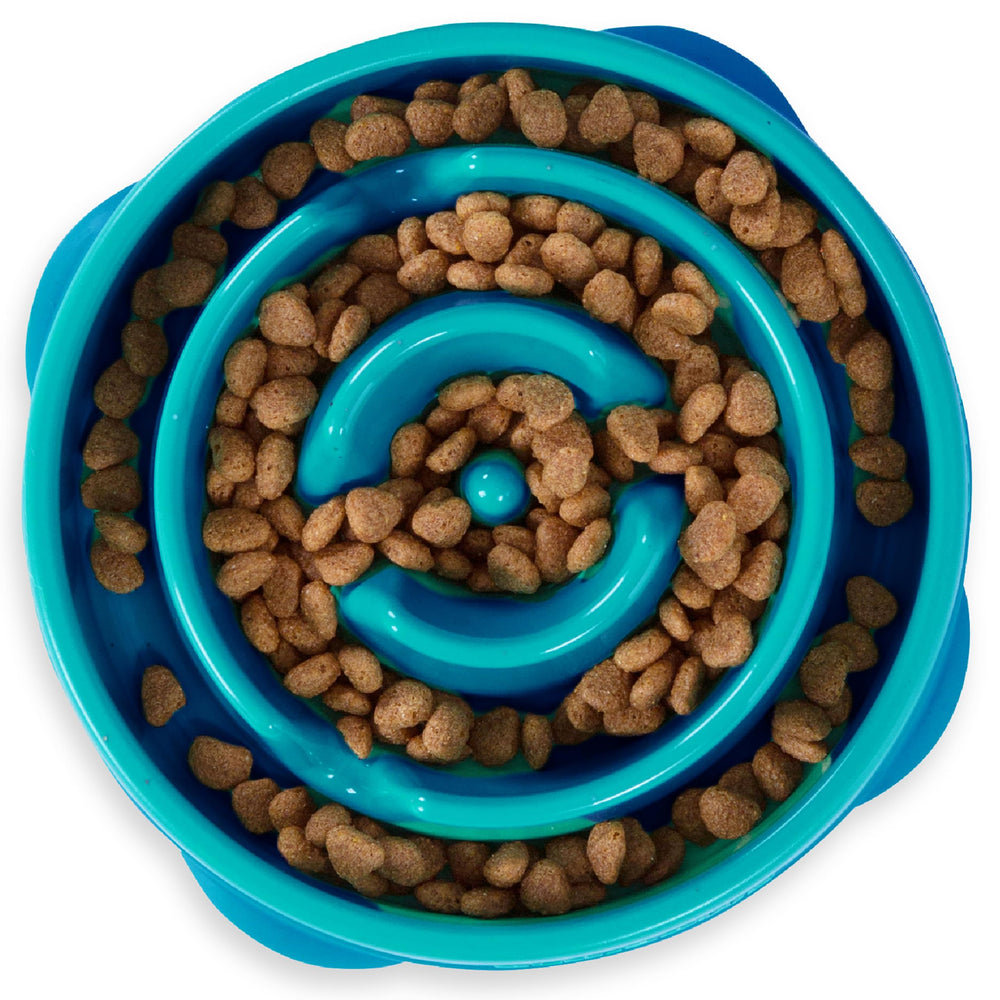 Bol turquoise Outward Hound Fun Feeder Slo, motif gouttes, pour un repas plus lent.