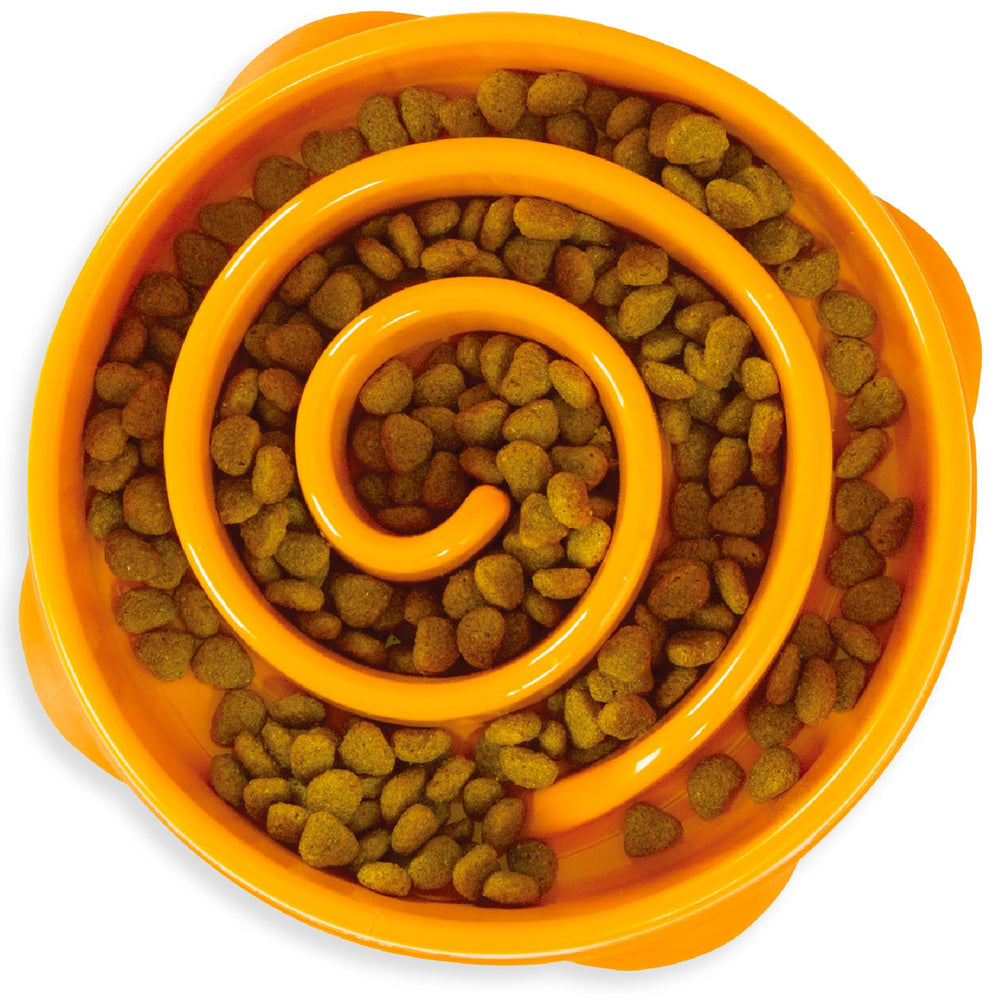 Outward Hound Fun Feeder Slo Bowl vue frontale, ralenti l’alimentation pour des repas plus calmes