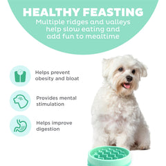 Outward Hound Slo Bowl Menthe, motif ondes, aide à ralentir les repas.