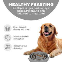 Fun Feeder Slo Bowl d’Outward Hound, design puzzle profond pour engagement prolongé.