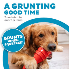 Outward Hound Grunt Fetch Stick Bunny, texture robuste pour jeux répétés