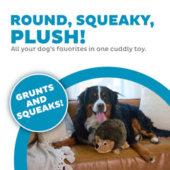 Texture douce de Hedgehogz pour un confort quotidien du chien.