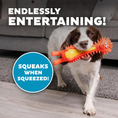 Outward Hound hérisson avec motifs personnages, divertissement varié