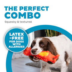 Outward Hound hérisson sans latex avec gros sifflet pour stimulation ludique