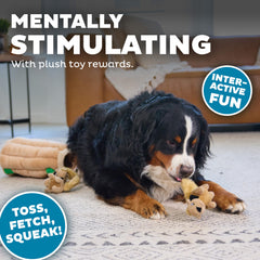 Outward Hound Hide-A-Squirrel, peluche douce, compagnon câlin et jeu sûr.