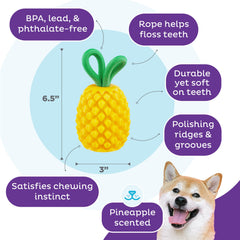 Outward Hound Dental Pineapple, jouet-gourmand rempli pour enrichment et amusement.