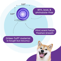 Lil' Snoop violet balle 3-9 pouces adaptée petits chiens.