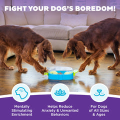 Outward Hound Paw N' Play poignees-pattes-puzzle-chien: stimule manipulation et résolution