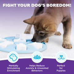 Puppy Smart d'Outward Hound, focus pattes du chien en action