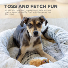 Chipmunk doux pour dents et gencives avec Outward Hound Snuffle N' Treat