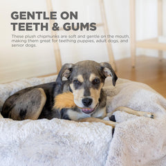 Chipmunk Snuffle N' Treat inséré dans Hide-A-Toys Outward Hound
