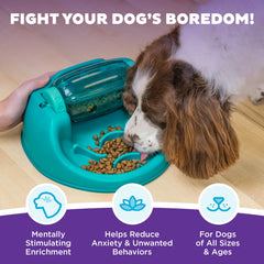 Outward Hound Spin N' Eat baril-tournant encourage le chien à tourner pour obtenir des croquettes.
