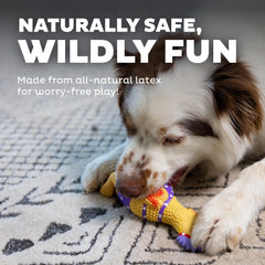 Outward Hound Squawkers Henrietta: jouet en latex robuste pour jeux interactifs et sorties en intérieur.