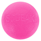 Outward Hound Squeak Ball, balle-sifflement rose, idéale pour des sessions de rapport.