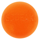 Outward Hound Squeak Ball, durabilité Orbee-Tuff, idéale pour des fetch prolongés et robustes.
