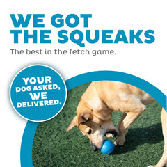 Balle durable et flottante Outward Hound en bleu pour jeux résistants