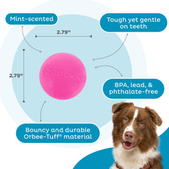 Outward Hound Squeak Ball, balle-durable rose résistant aux mordilures.