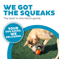 Outward Hound Squeak Ball, flottante, parfaite pour des jeux d'intérieur et d'extérieur.