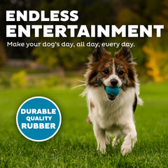 Outward Hound Squeaker Ballz – Utilisation en intérieur et extérieur pour des séances de lancer et entraînement.
