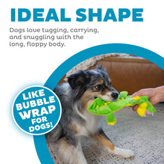 Outward Hound Squeaker Matz Gator, corps plat et flasque, idéal pour tir et retour.