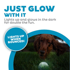 Outward Hound Strobe Ball Glo Orbee-Tuff, matériau durable.