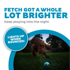 Balle Outward Hound Strobe avec pile bouton, pratique en extérieur.