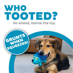 Outward Hound Tootiez ours grognant en latex, parfait pour la mastication et l’attention
