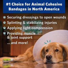 OVIK Health PetFlex No Chew – application sans ciseaux pour pose rapide et propre.
