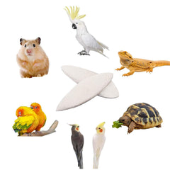 Ovveroche Cuttlebone 11–11,5 cm, taille adaptée pour petits animaux et perchoirs.
