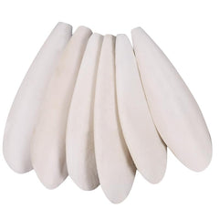 Ovveroche Cuttlebone naturel pour oiseaux, ensemble de six pièces pour le mordillage.