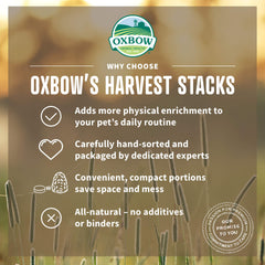 Oxbow Harvest Stacks arome camomille, enrichissement sensoriel pendant l'alimentation.