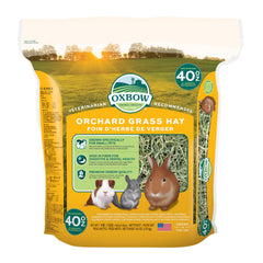 Oxbow Orchard Grass Hay, sac 40 oz, texture douce pour une digestion saine.