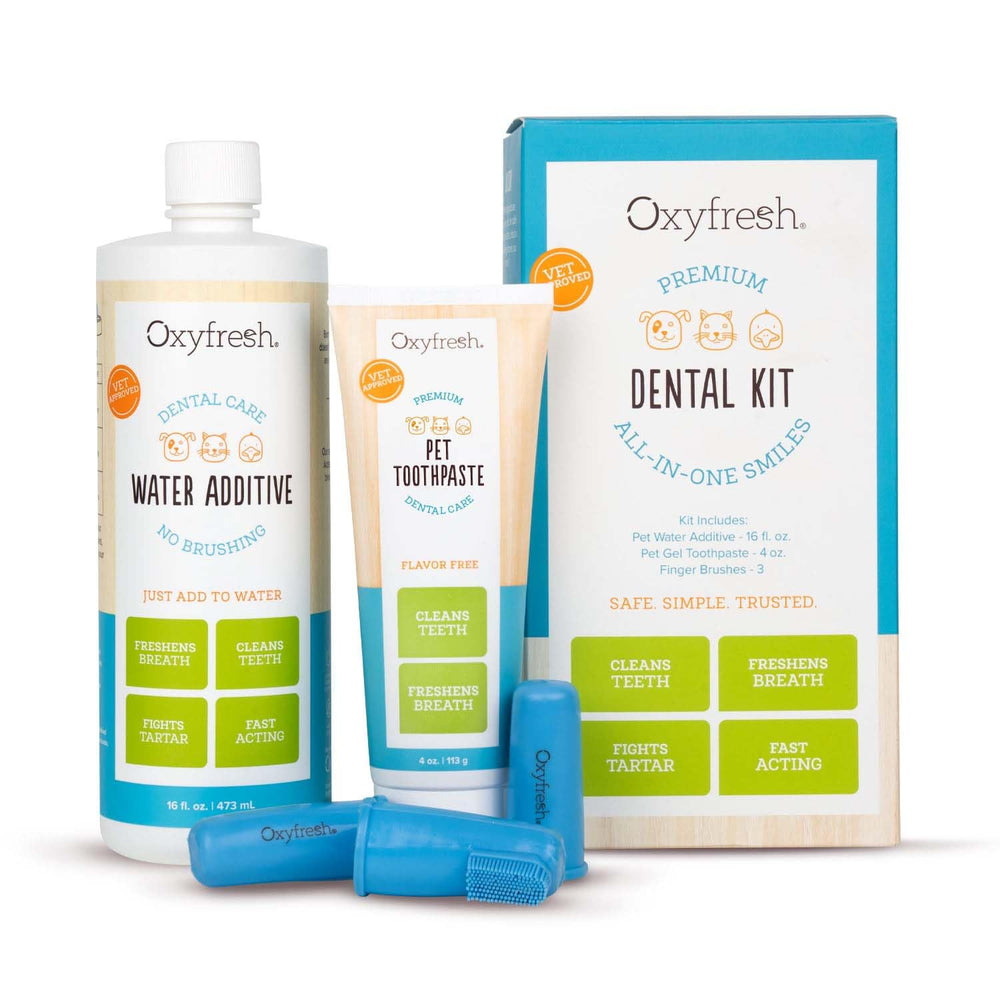 Kit dentaire Oxyfresh pour animaux avec bouchée fraîche et outil simple