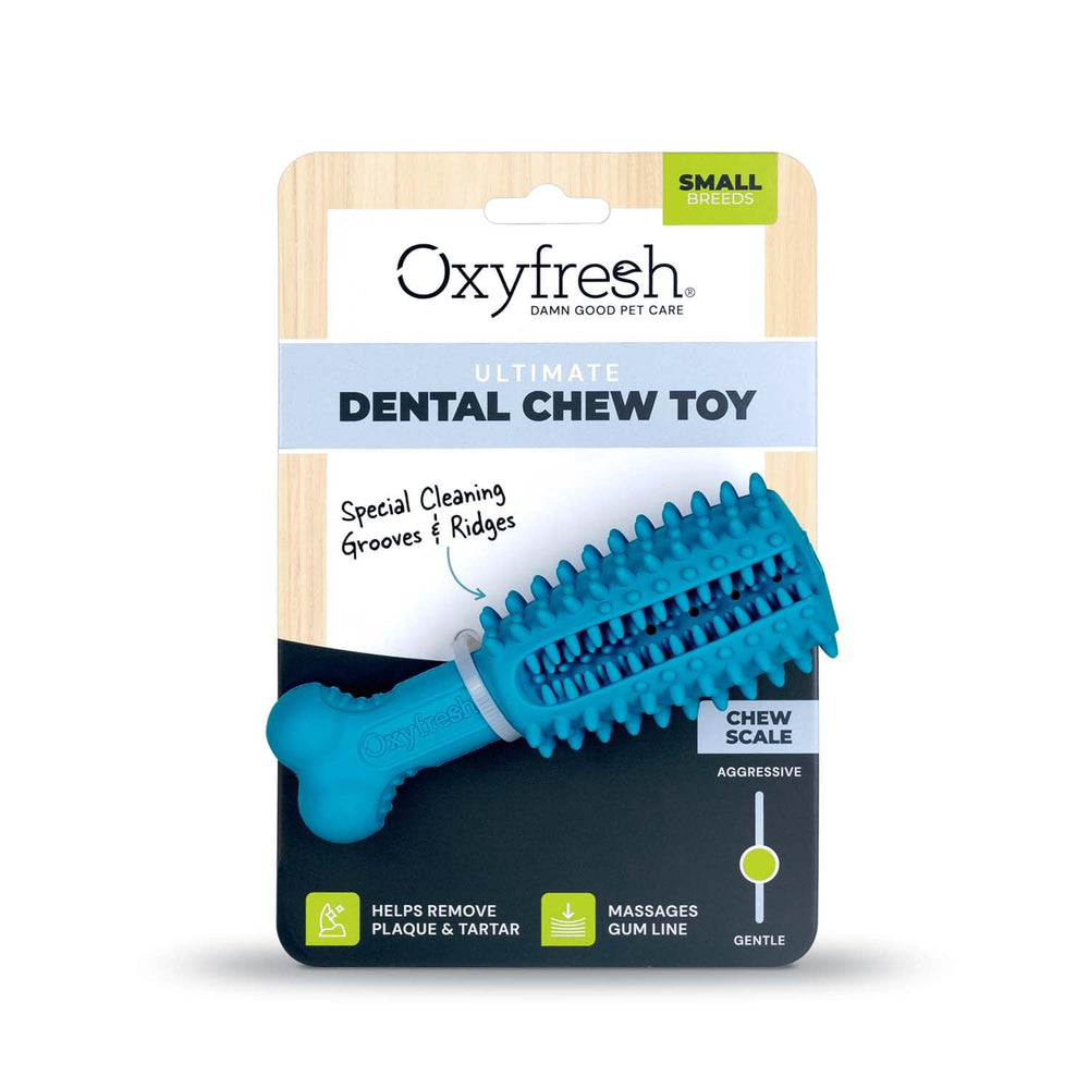Oxyfresh jouet dent chi en, vue avant, nettoyage doux lors du mordillement