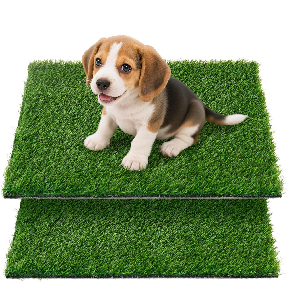 Tapis herbe artificielle Oiyeefo pour chiens, pratique pour pot en appartement.