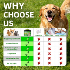 OZOXOO poudre dentaire chien avec enzymes naturels soutient gencives saines.