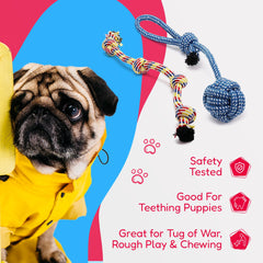 Pacific Pups Products – jouet corde dentaire carotte, distraction et plaisir masticatoire.