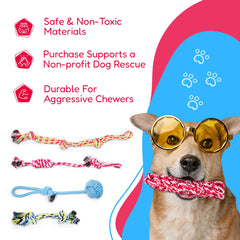 Pacific Pups Products – jouet corde dentaire girafe, stimulation dentaire en jeu.