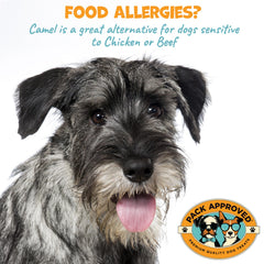 Chiens agressifs mâchent Pack Approved pour divertissement et enrichment.
