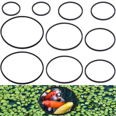 PAGOW est un ensemble d’anneaux d’alimentation pour poissons noirs, réduisant la dispersion des aliments.