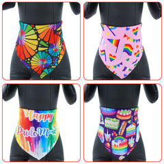 Bandanas arc‑en‑ciel Pai Sence pour chien, tailles 86x61x61 cm en pack.