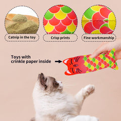 Ensemble Pai Sence de 6 jouets herbe à chat, variété pour divertir.