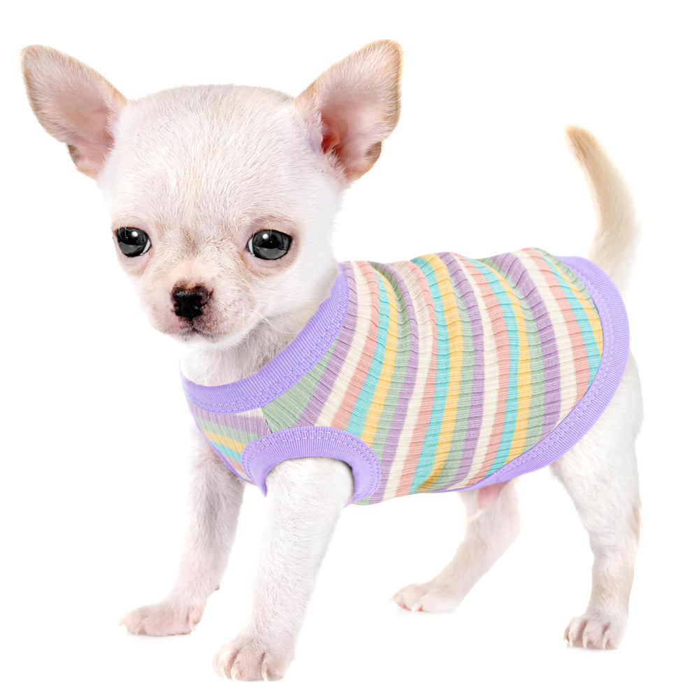 Paiaite chemise pour petits chiens vue ensemble, douceur coton rib pour le confort quotidien.