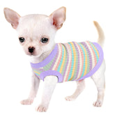 Paiaite chemise pour petits chiens vue ensemble, douceur coton rib pour le confort quotidien.