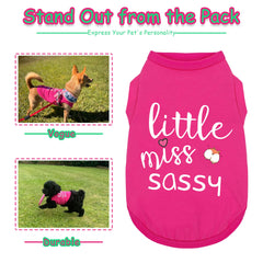 Paiaite gilet respirant pour chien, Little Miss Sassy, rose, idéal pour l’extérieur.