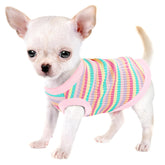 Paiaite t-shirt petit-chien coton rose, confort léger pour les balades.