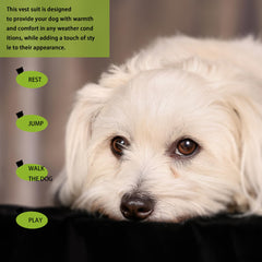 Paiaite t-shirt chien plein air, mouvement libre pour les jeux.