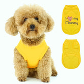 Paiaite veste-chien jaune vue dos, confort durable pour sorties quotidiennes.